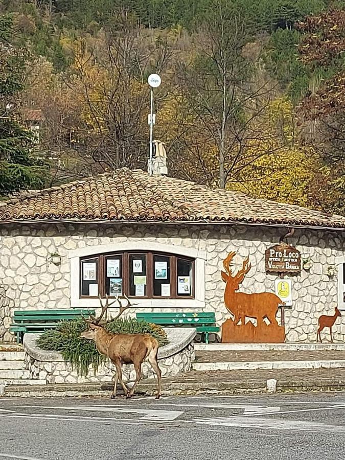 Casa Vacanze Al Castello Villetta Barrea Bagian luar foto
