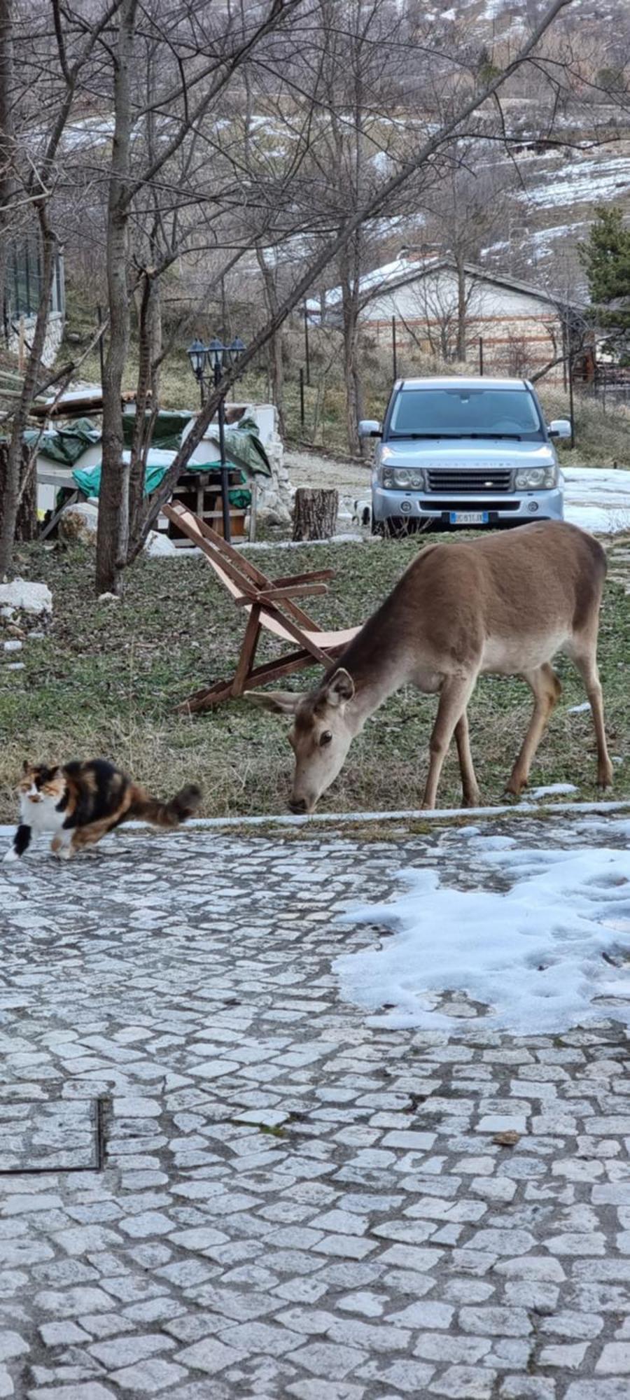 Casa Vacanze Al Castello Villetta Barrea Ruang foto